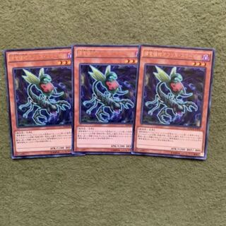 捕食植物オフリス・スコーピオ R 3枚