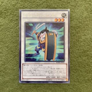 ゴヨウ・ディフェンダー R