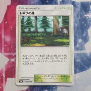 トキワの森 いーぶいさん専用