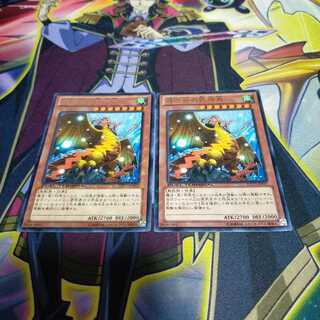 霞の谷の巨神鳥