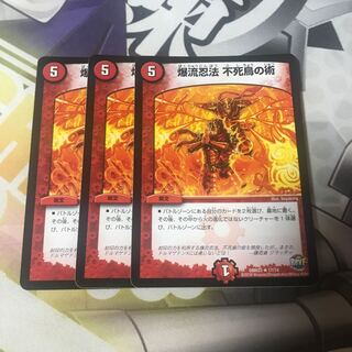 爆流忍法 不死鳥の術　3枚