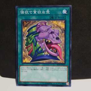 強欲で貪欲な壺 N