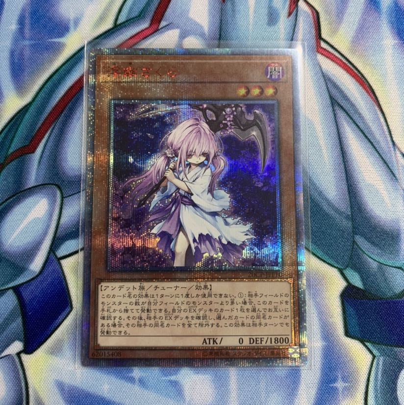 (週末特価)浮幽さくら 20thSE