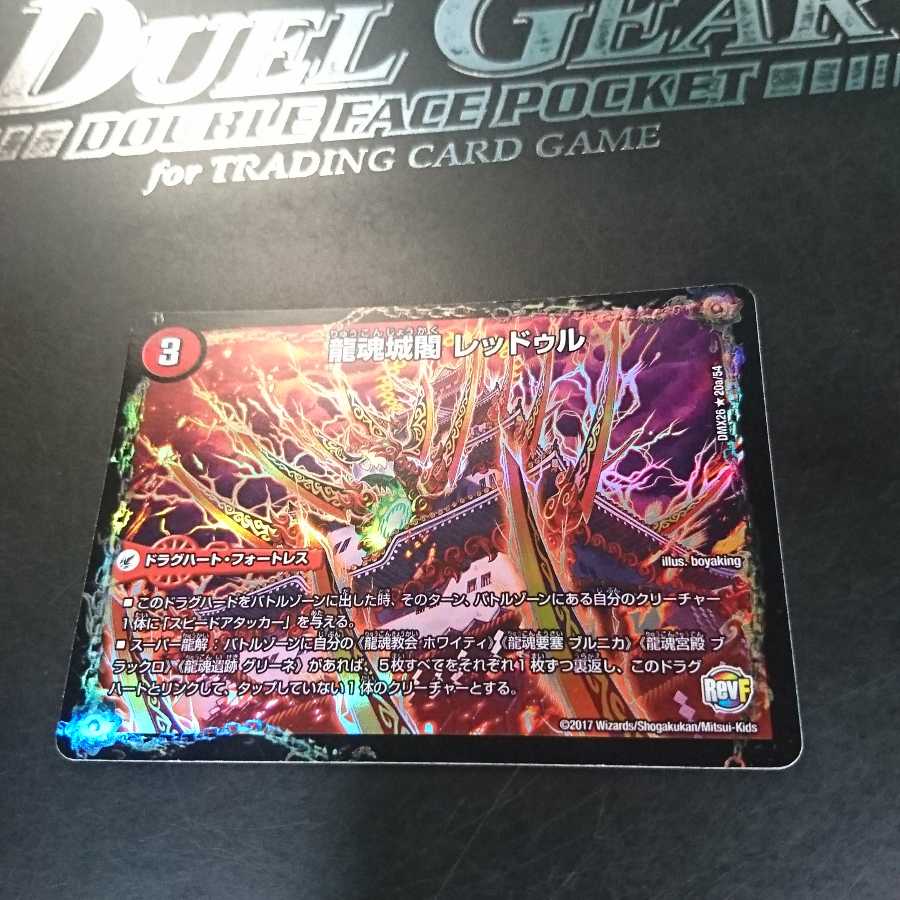 Ryukonjokaku Reduru｜Kyokushin Ryukon All Over the World (bottom)