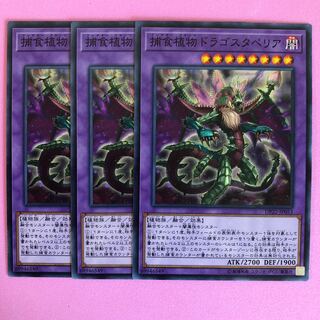 遊戯王 捕食植物ドラゴスタペリア 3枚 ノーマル