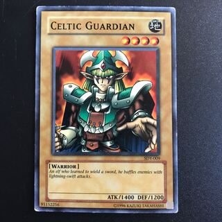 Celtic Guardian