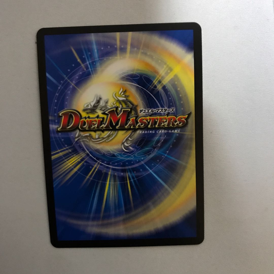 「絶対の楯騎士」