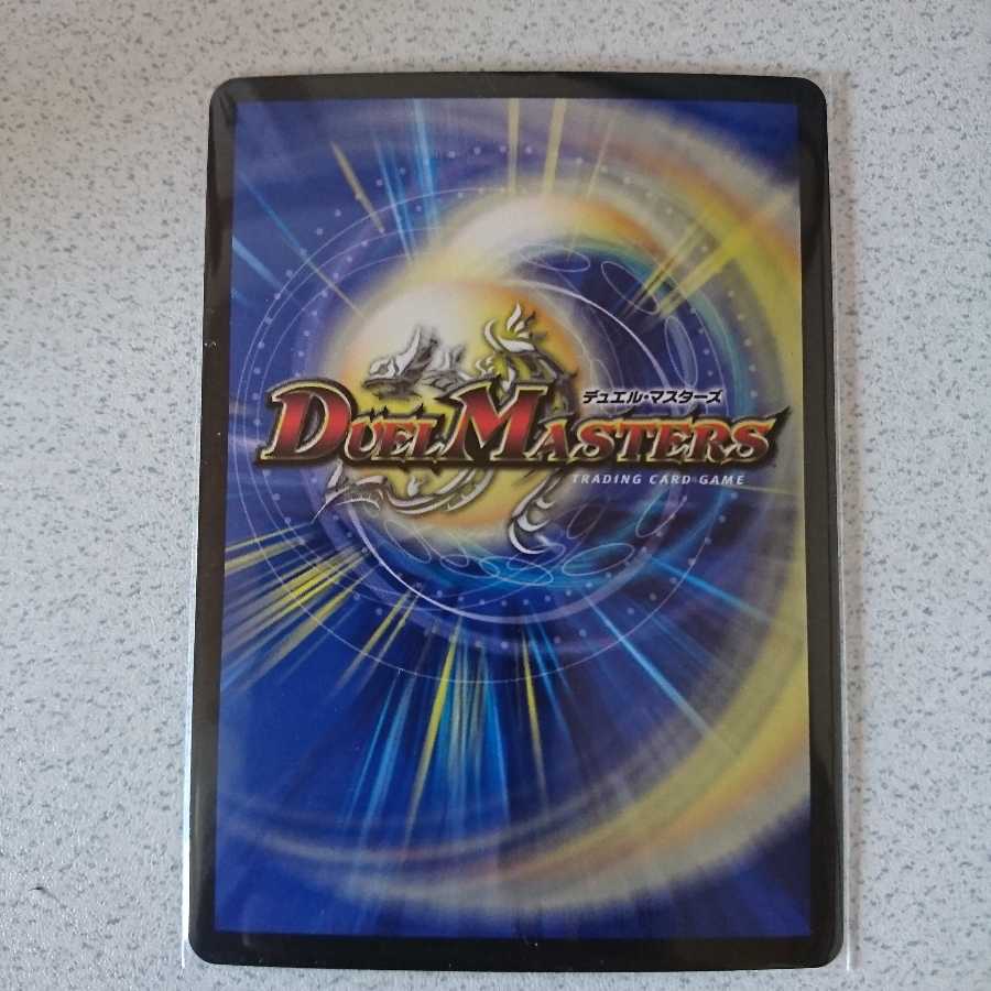 神聖龍 エモーショナル・ハードコア 新品、未使用