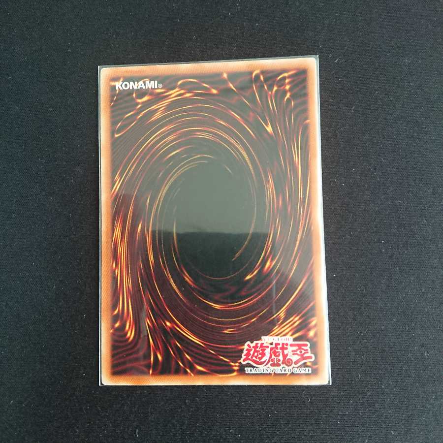 1169421170様専用 1枚