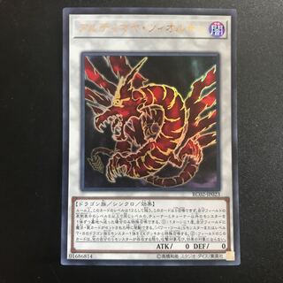 アルティマヤ・ツィオルキン UR