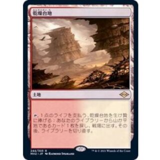 [EX+](FOIL) Arid Mesa/Arid Mesa (Japanese) [MH2] 1枚