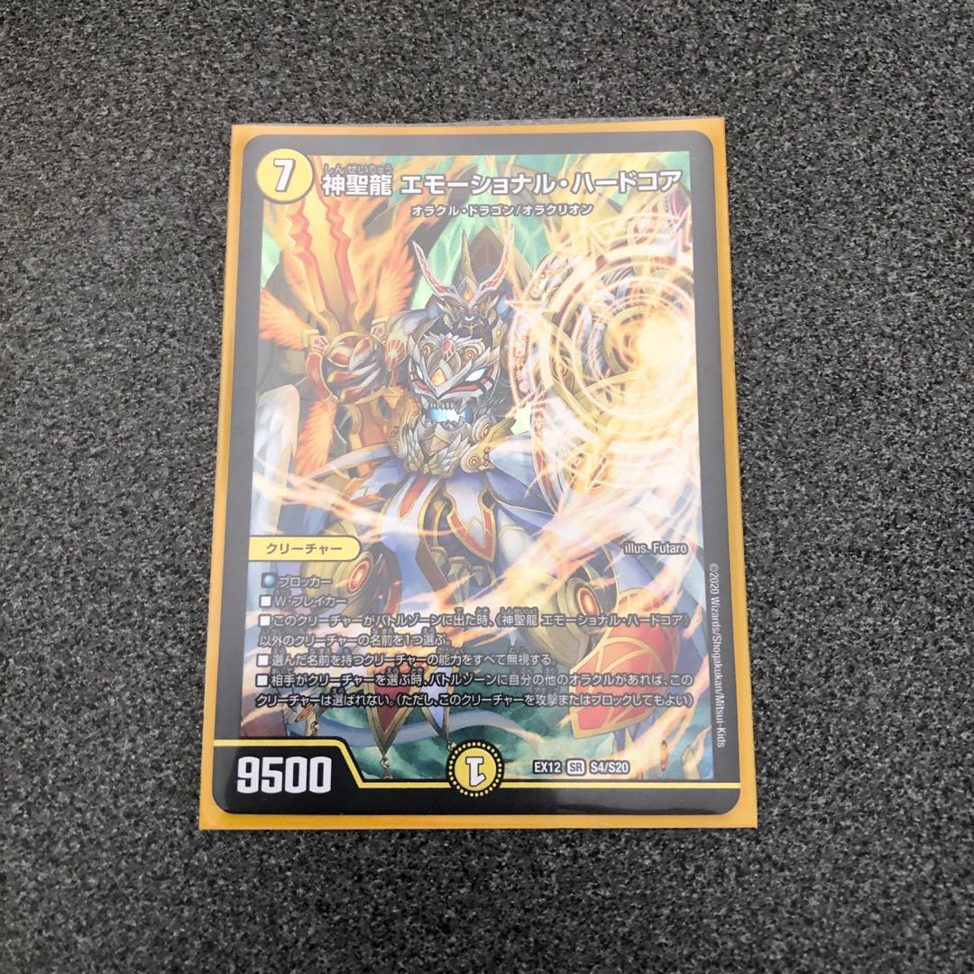 神聖龍 エモーショナル・ハードコア