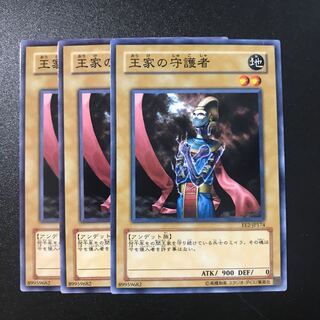 王家の守護者 N