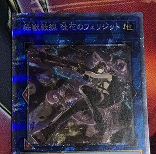 鉄獣戦線 徒花のフェリジット PSE