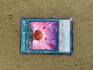 天啓の薔薇の鐘 N