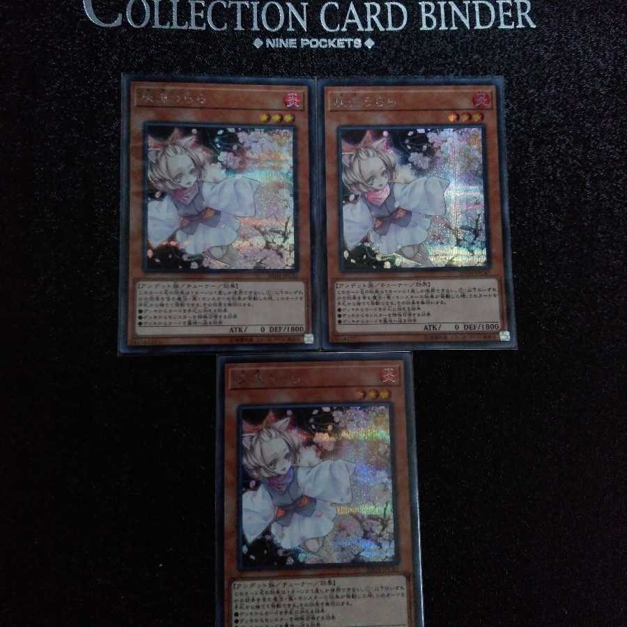 遊戯王 灰流うらら シク3枚セット