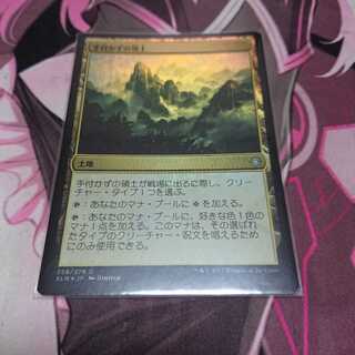 Foil 手付かずの領土