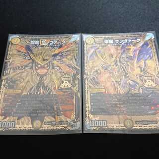 煌龍 サッヴァーク 2枚セット