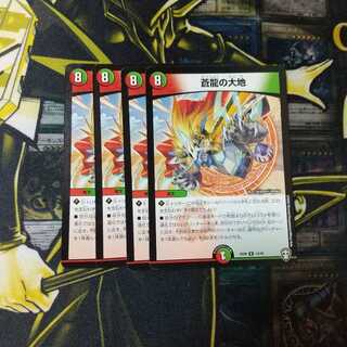 専用です蒼龍の大地