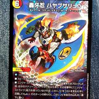 先行発売ハヤブサリュウ