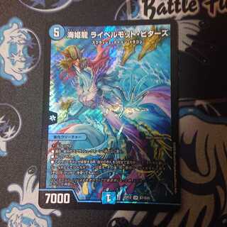 海姫龍 ライベルモット・ビターズ SR