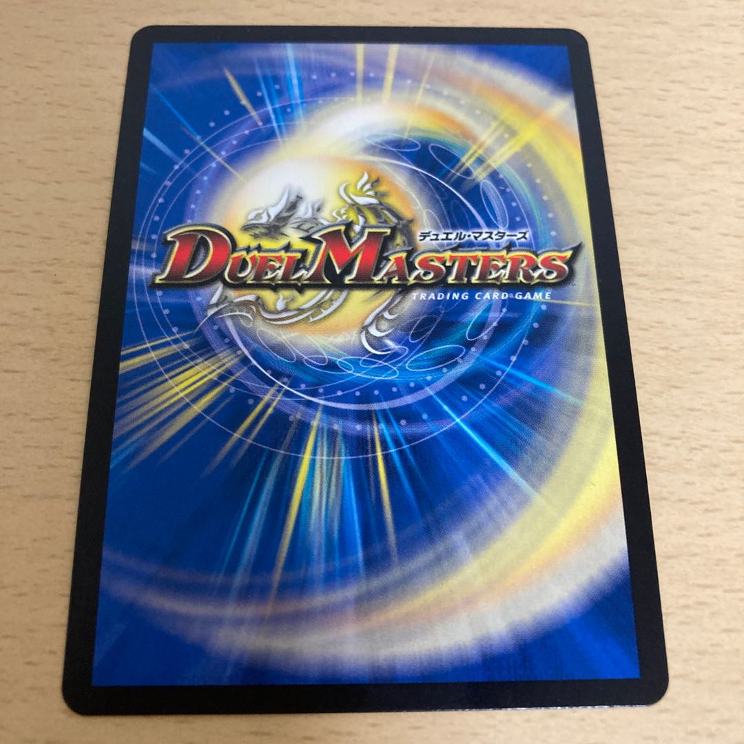 「絶対の楯騎士」