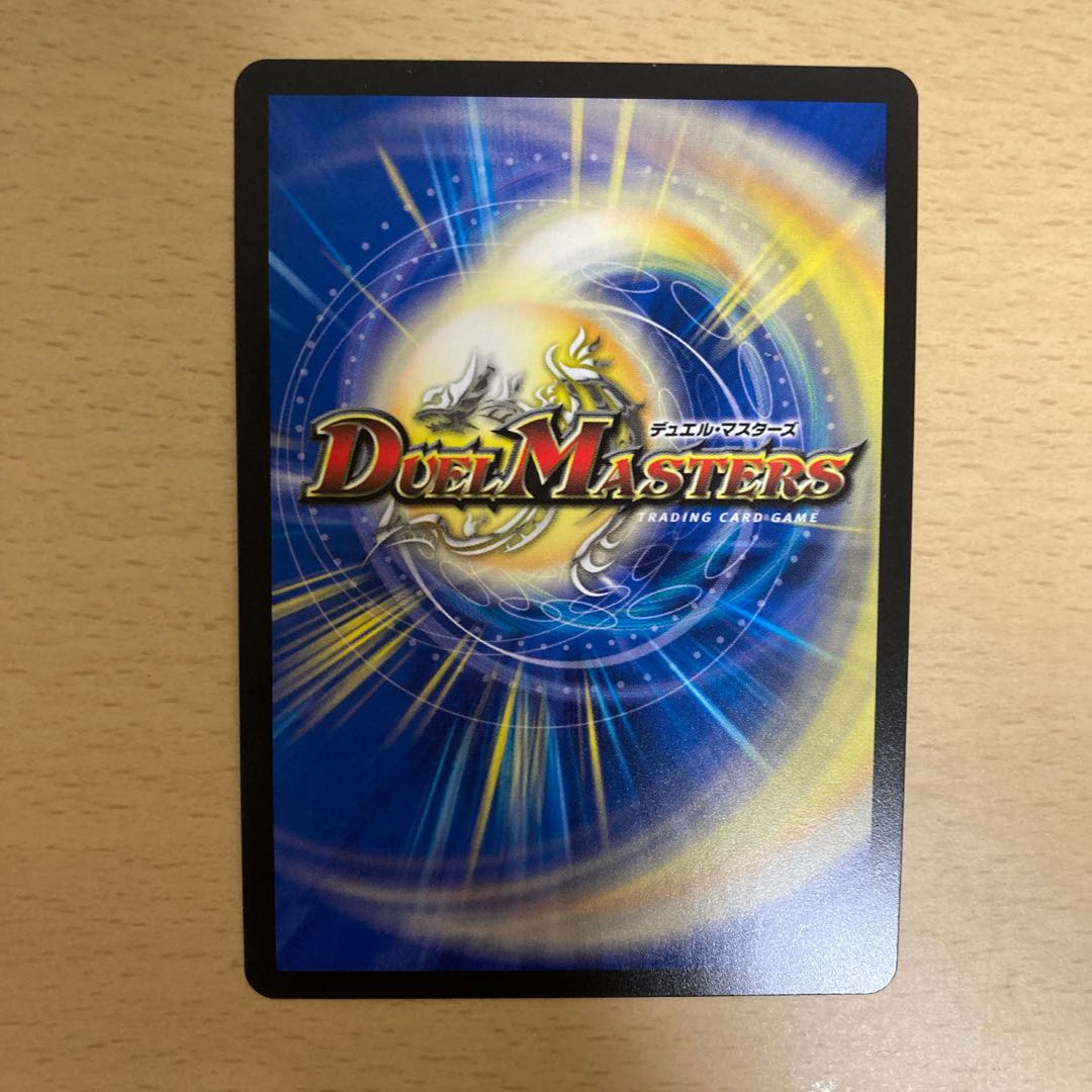 「絶対の楯騎士」