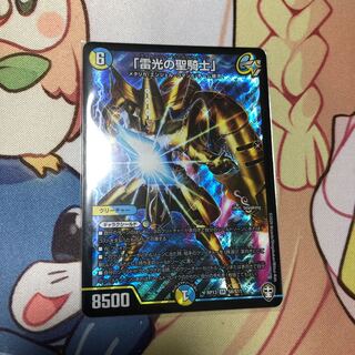 「雷光の聖騎士」