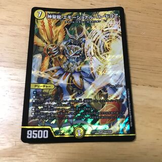 神聖龍 エモーショナル・ハードコア SR