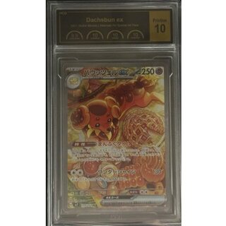 バウッツェル S」の激安通販 | magi