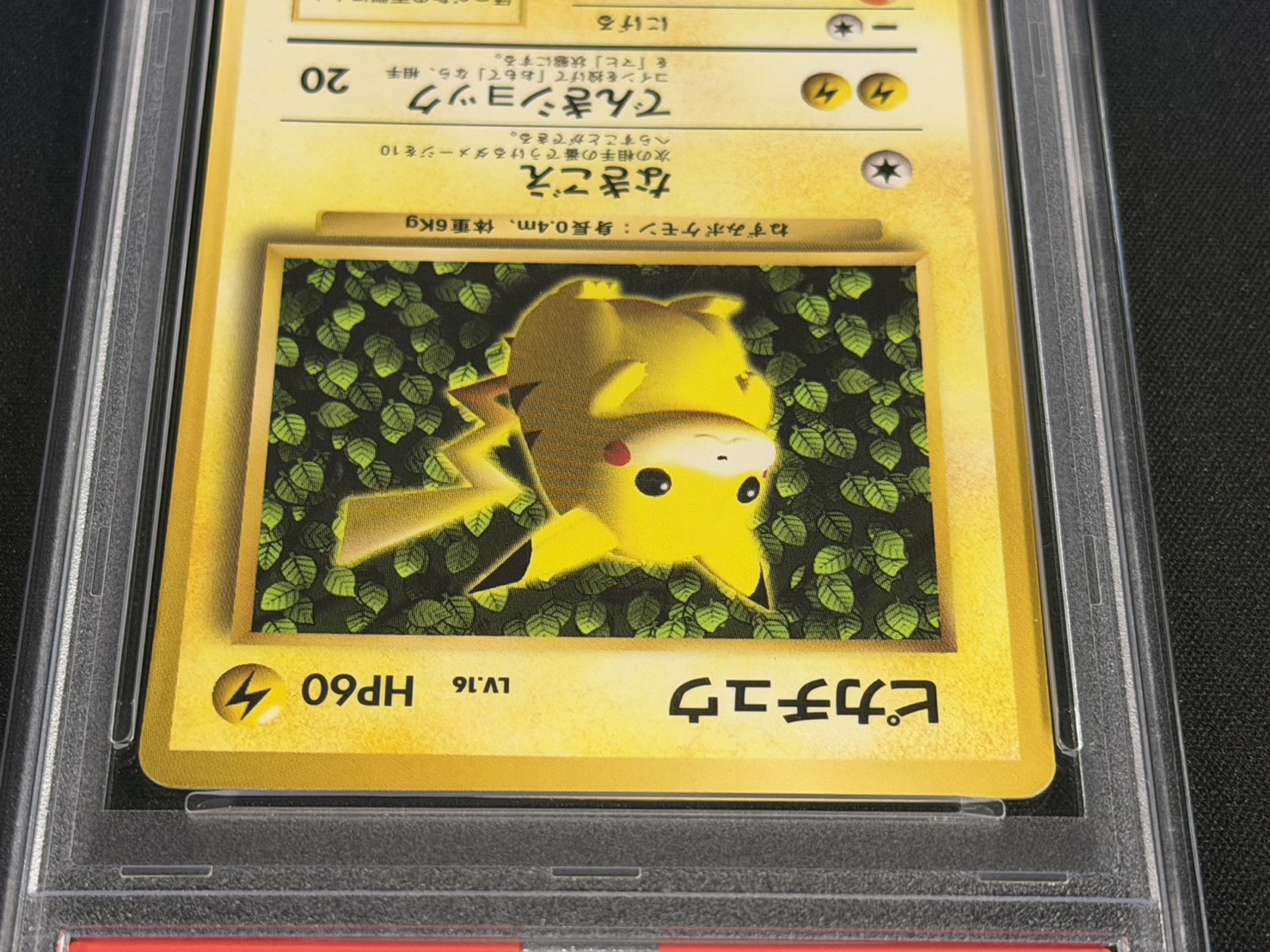 PSA6 Certified] Pikachu LV.16 (Glossy / Ken Sugimori