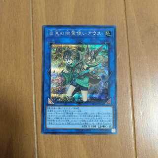 崔嵬の地霊使いアウス SE