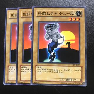 格闘ねずみ チュー助 N