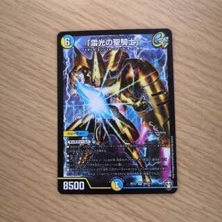 「雷光の聖騎士」