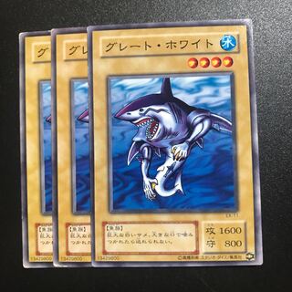 グレート・ホワイト