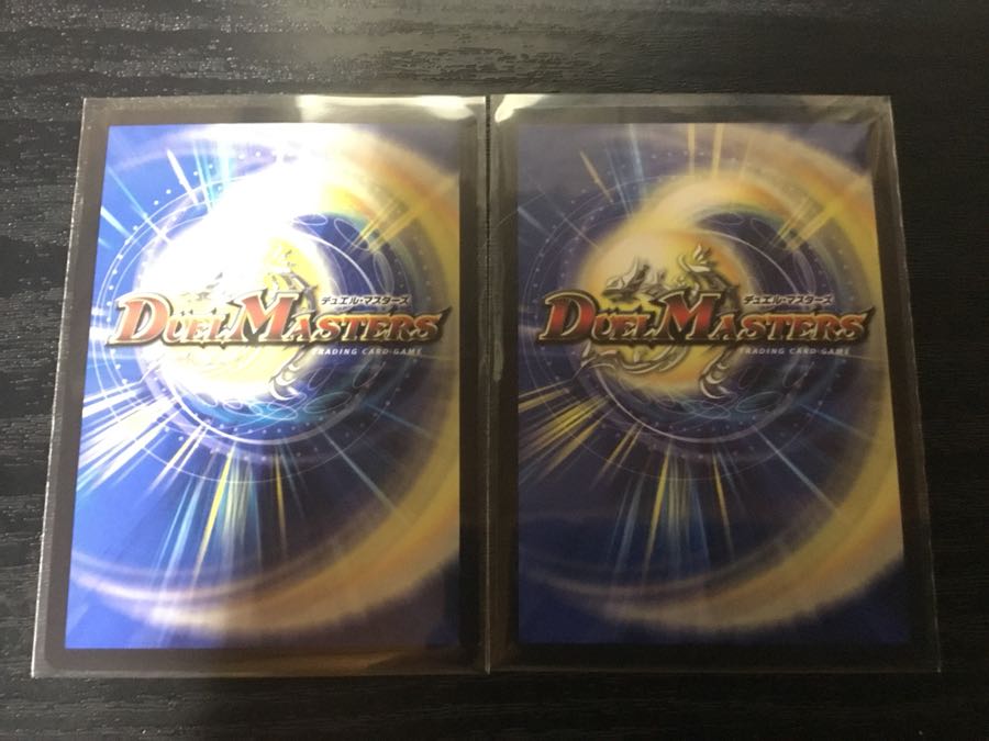 轟牙忍 ハヤブサリュウ 2枚セット