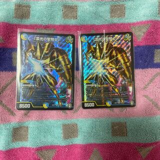 「雷光の聖騎士」