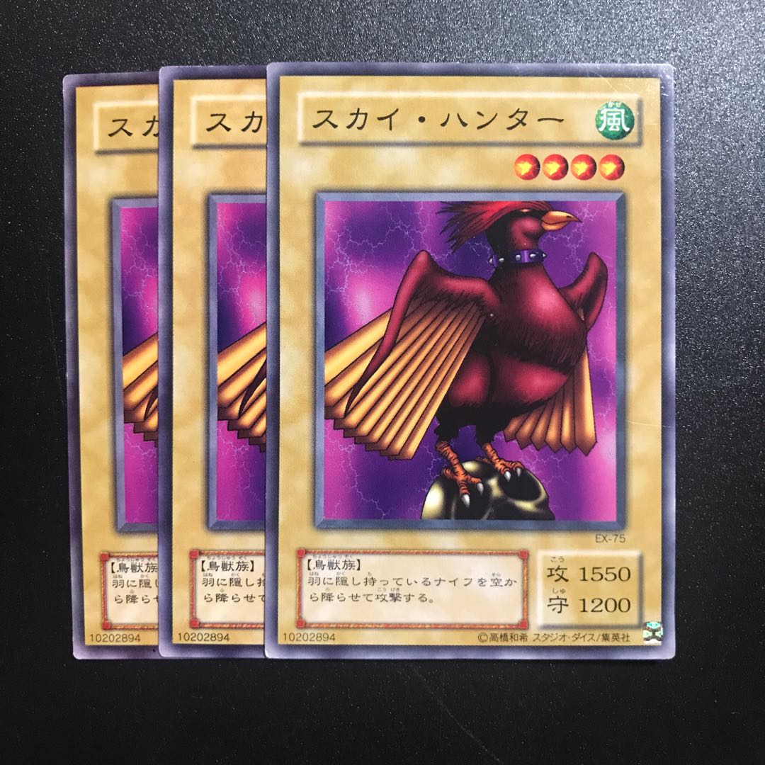 スカイハンター