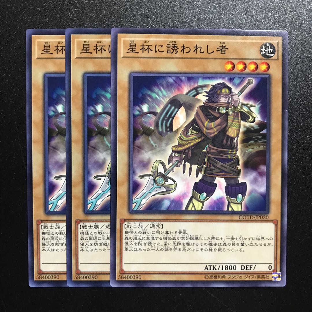 星杯に誘われし者 N