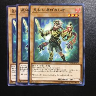 星杯に選ばれし者 N