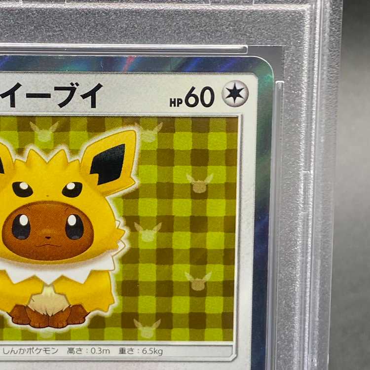 [PSA10] Eevee in a Poncho: Jolteon (Promo) {138/SM-P} [SM] 1枚
