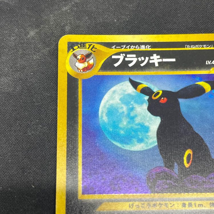 Umbreon [neo Vol. 2 / Beyond the Ruins] [Old Back Cover] 1枚