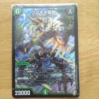 ブラキオ龍樹 SR