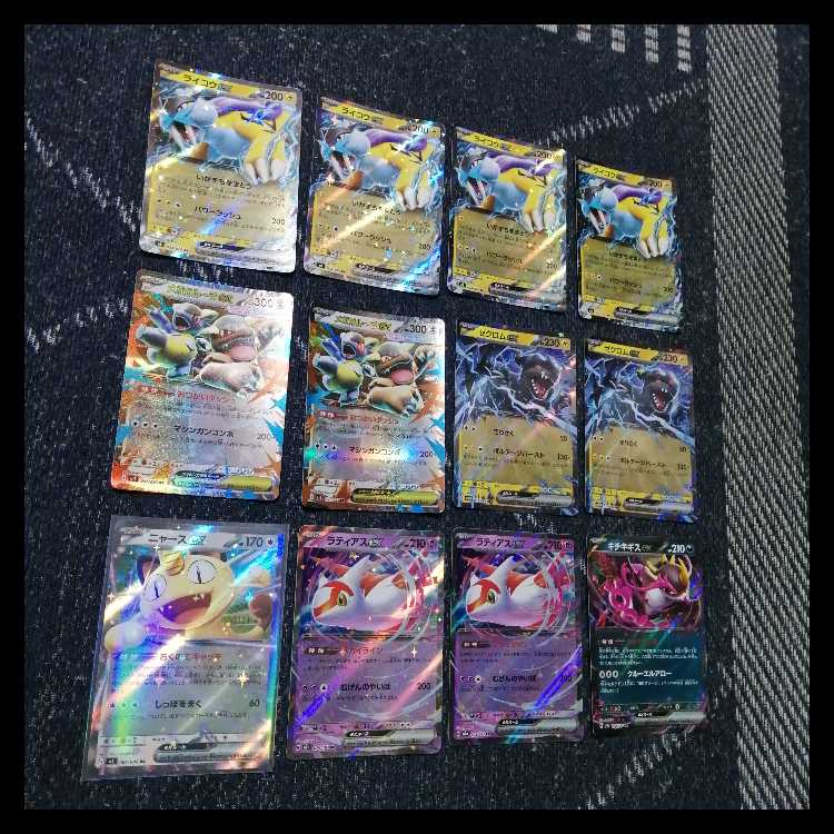 ポケモンカード　デッキ　ライコウex　メガガルーラex　[05408] 1枚