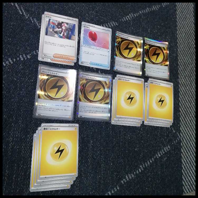 ポケモンカード　デッキ　ライコウex　メガガルーラex　[05408] 1枚