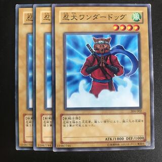 忍犬ワンダードッグ N