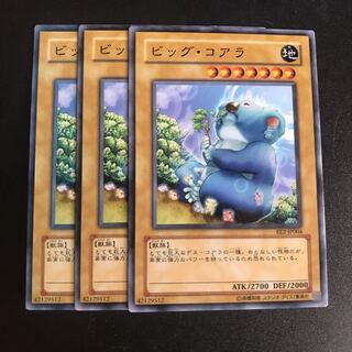 ビッグ・コアラ N