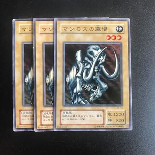 マンモスの墓場 N