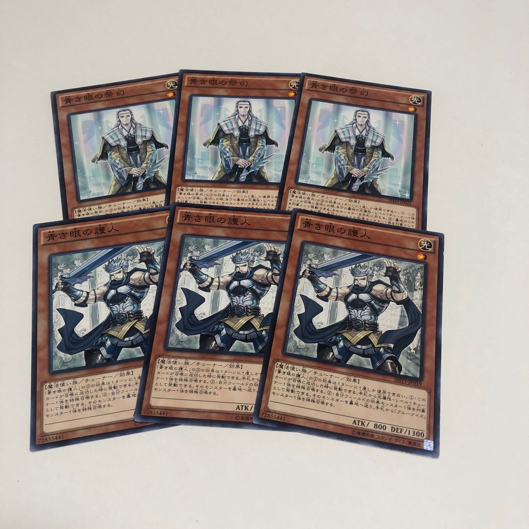 青き眼の祭司 N 青き眼の護人