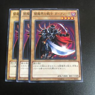 闇魔界の戦士 ダークソード N